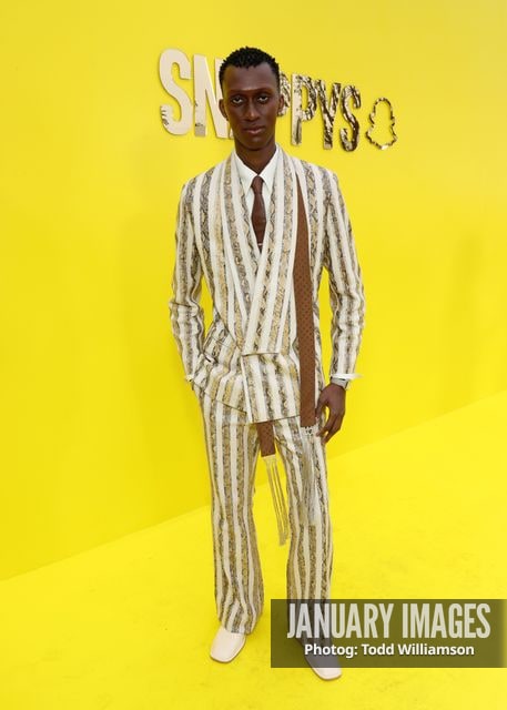 Alioune Badara Fall — The Snappys Awards 2026 - Arrivals