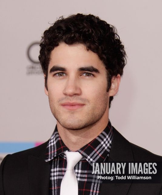 LOS ANGELES, CA - NOVEMBER 21:  Actor Darren Criss arrives at the 2010 American Music Awards held at Nokia Theatre L.A. Live on November 21, 2010 in Los Angeles, California.  (Photo by Todd Williamson/JanuaryImages)